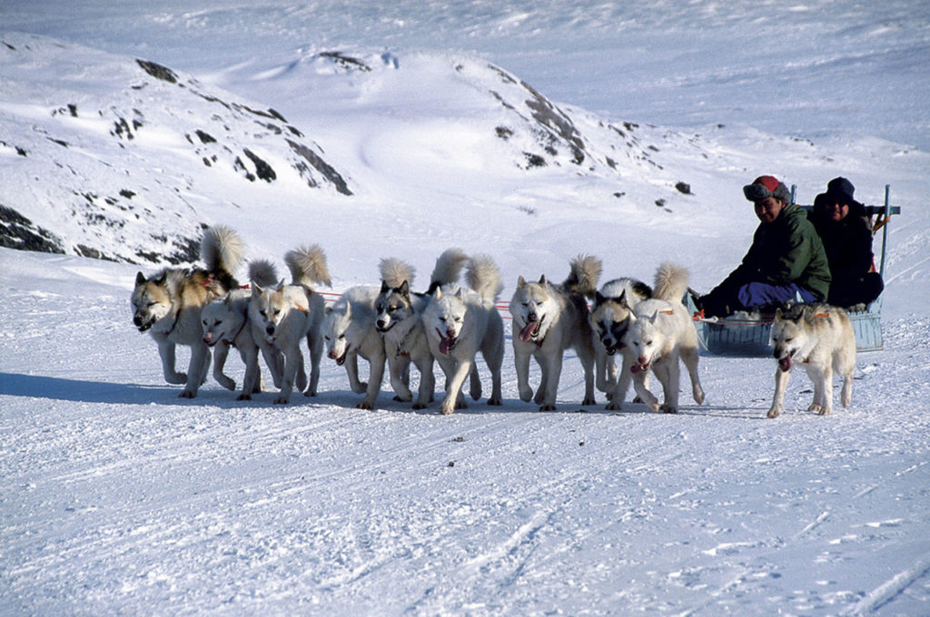 Dog sledding in Mongolia: Would you take a Mongolia holiday in the winter? This is what it's like! The Mongolian countryside is seriously beautiful